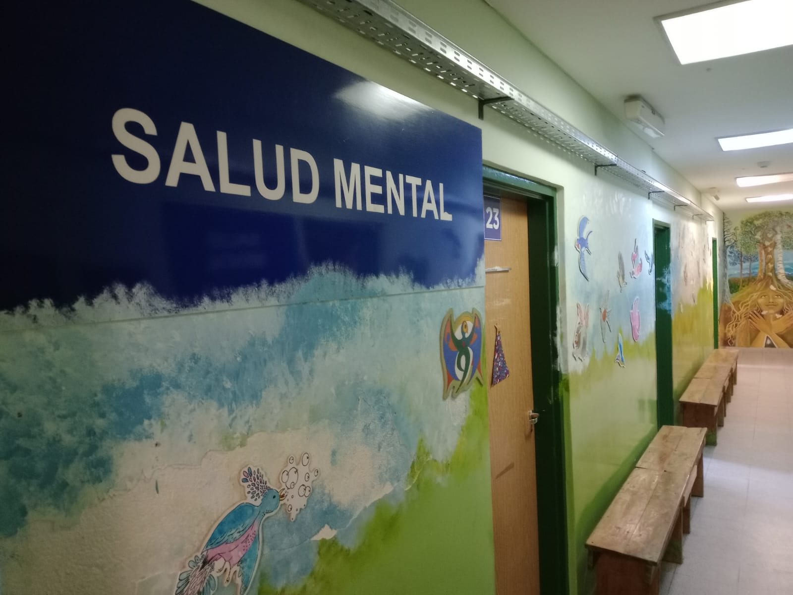 Aclaración del Servicio de Salud Mental del Hospital de El Bolsón sobre ...