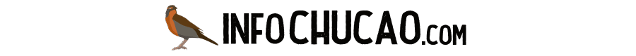 InfoChucao